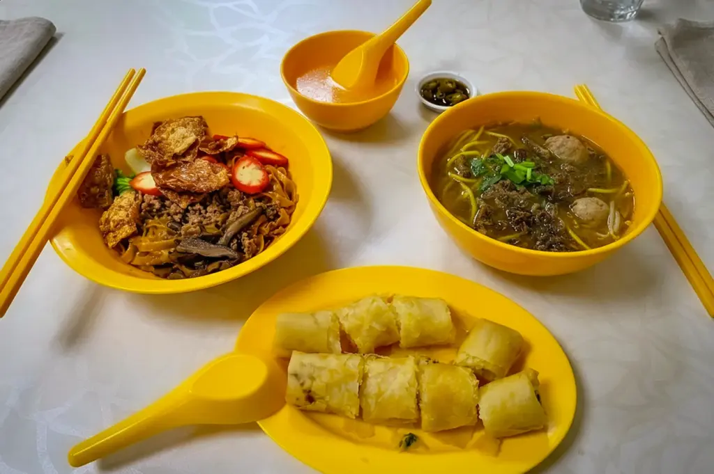 Vegetarian dry noodles, herbal soup noodles, and spring rolls served at Bodhi Deli Singapore