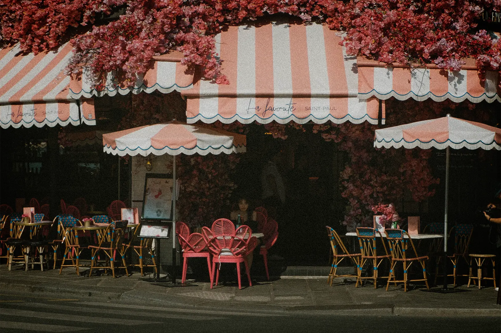 A charming, vintage-styled street view captures the storefront of a Parisian café named "La Favorite Saint-Paul," heavily adorned with dense clusters of pink flowers overhead and around the dark entrance. The café features distinctive pink-and-white striped awnings and matching patio umbrellas with scalloped edges. Below, an empty outdoor seating area is arranged along the stone sidewalk, complete with a mix of blue-accented wicker chairs and bright pink, fan-backed chairs gathered around small tables.